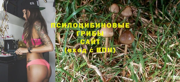 MESCALINE Богородицк